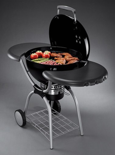 weber grill